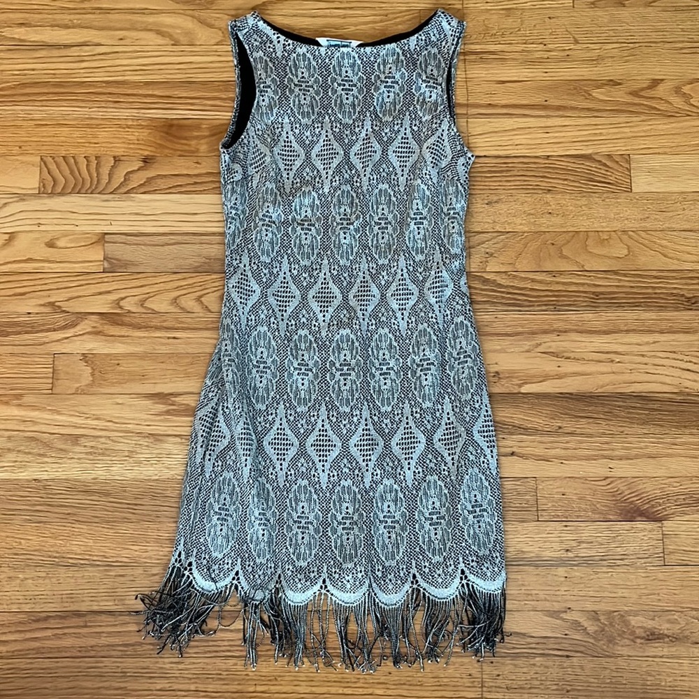 Vintage Silver Fringe Dress
